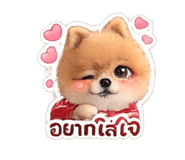 865084527