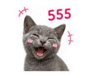 865084786