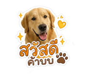 865084841
