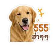 865084852