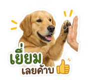 865084853