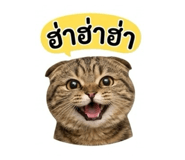 865084935
