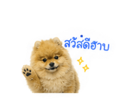 865084993