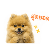 865084995