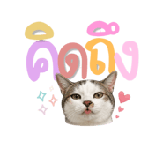 865085228