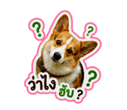 865085540