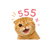 865086013