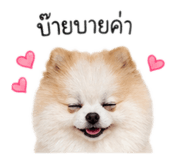865086096