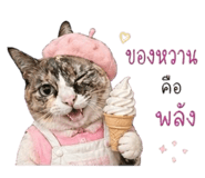 865086229