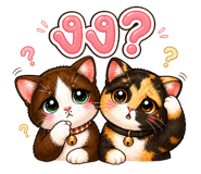 865086568