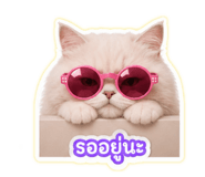 865087164