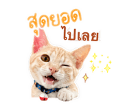 865087643
