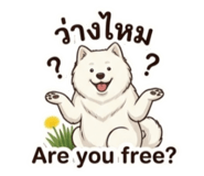 865087711