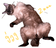 865088382