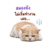 865088422