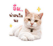 865088581