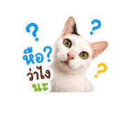 865088763