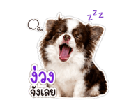 865088901
