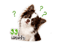 865088903