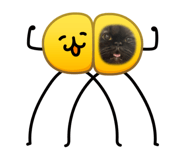 865090044