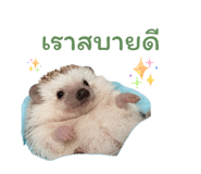 865090165