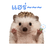 865090171