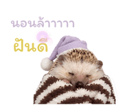 865090175