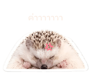 865090178