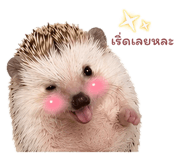 865090179