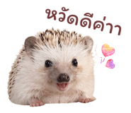 865090183