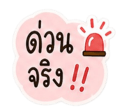 865090242