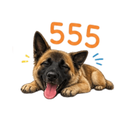 865090311