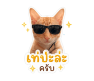 865090625