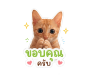 865090628