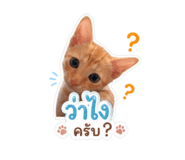 865090630