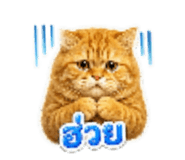 865090803