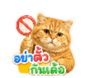 865090806