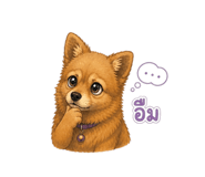 865090870