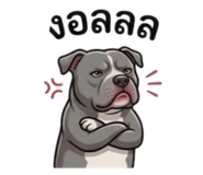 865091087