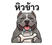 865091089