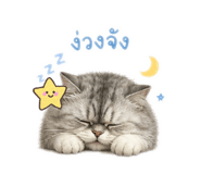 865091315