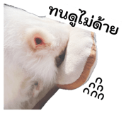 865091738