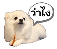 865091739