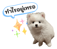 865091742