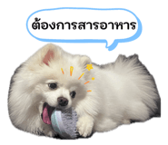 865091744