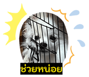 865091745