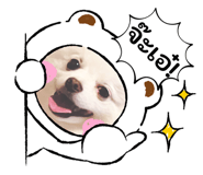865091750