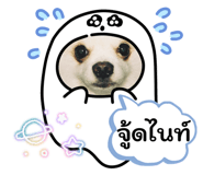 865091752