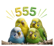 865092050