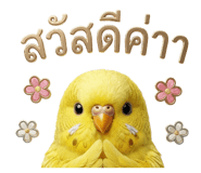 865092053